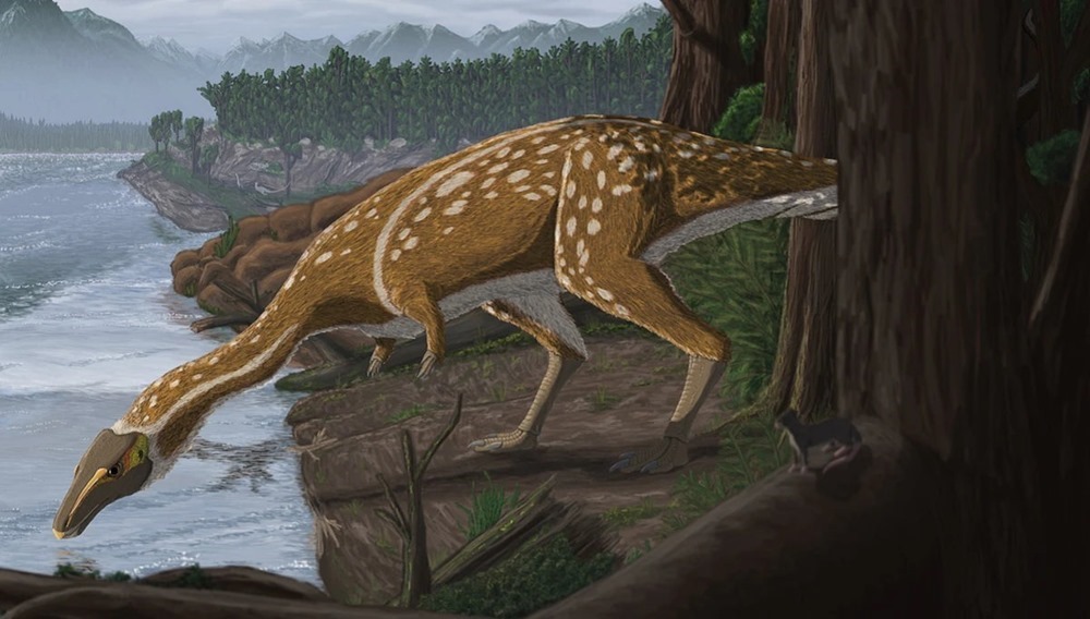 Eric l’élaphrosaure : un cousin, au long cou et sans dents, du Tyrannosaurus rex découvert en Australie