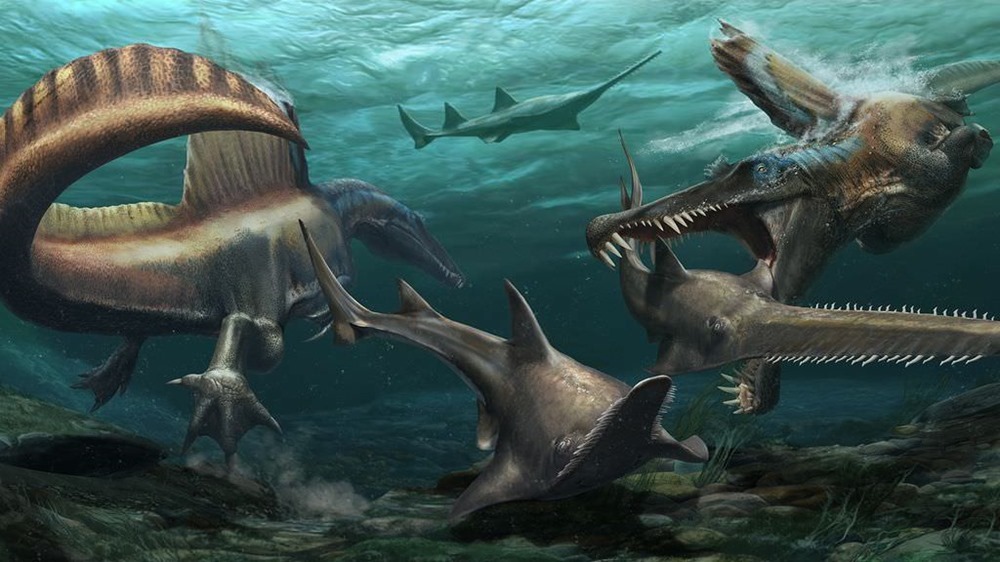 Le superprédateur Spinosaurus se révèle être le premier dinosaure connu à nager