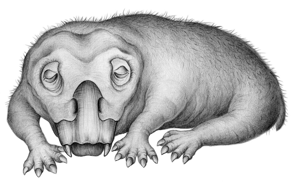 Cette créature préhistorique serait la plus ancienne à avoir hiberné pour survivre aux hivers de l’Antarctique