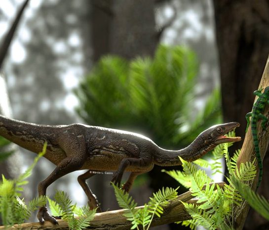 Des scientifiques reconstituent le cerveau de l’un des plus anciens dinosaures avec un niveau de détail sans précédent
