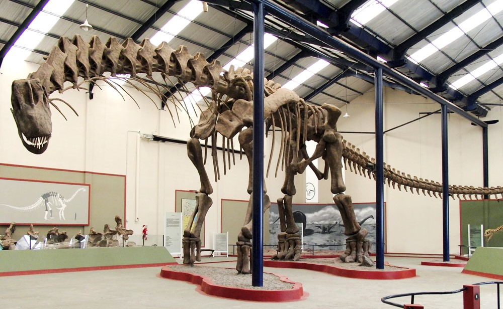 Un dinosaure fossilisé découvert en Argentine pourrait bien être le plus grand animal terrestre jamais découvert