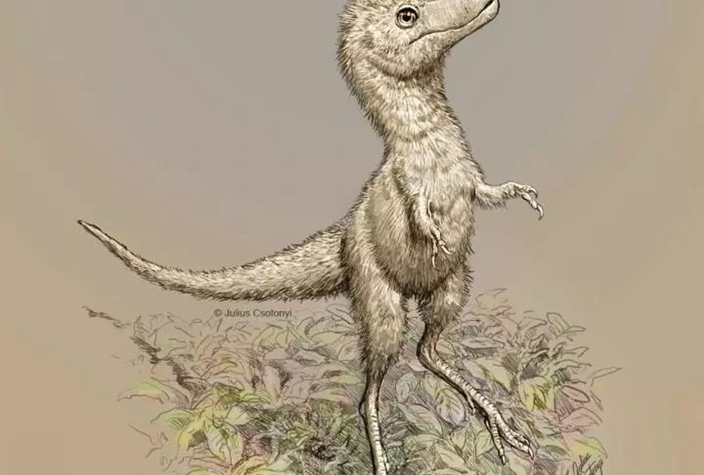 L’analyse de fossiles suggère que les tyrannosaures fraîchement éclos avaient la taille d’un chien