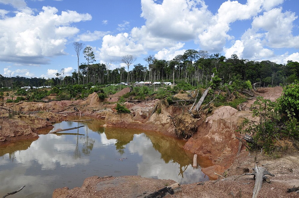 Une étude fixe l’effondrement d’une grande partie de la forêt amazonienne à l’année 2064