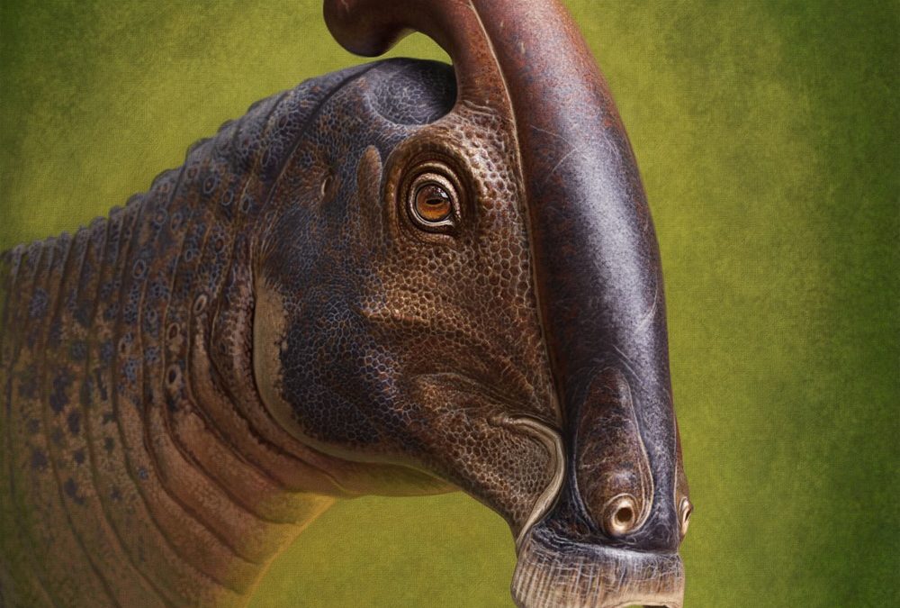 Avec un nez de 2,5 mètres de long : découverte d’un crâne exceptionnellement bien préservé d’un dinosaure d’il y a plus de 70 millions d’années