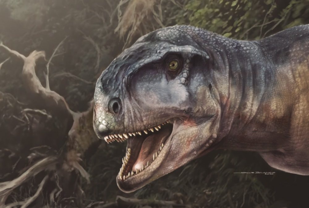 Un nouveau et redoutable dinosaure découvert en Patagonie