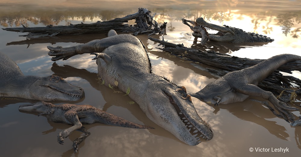 Un “cimetière” de tyrannosaures conforte la théorie selon laquelle ils chassaient en meute