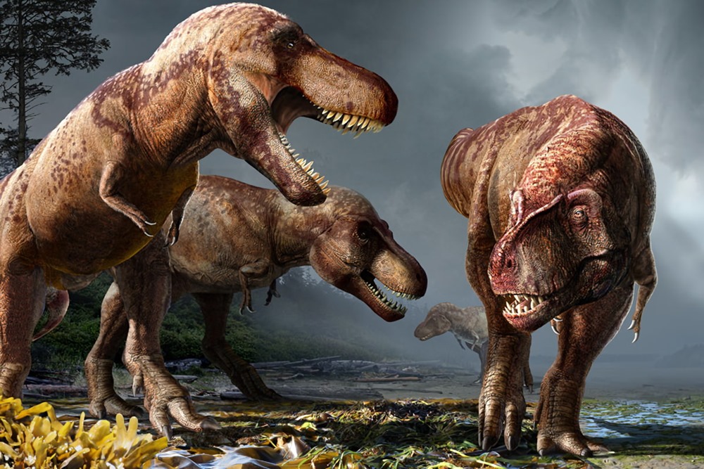2,5 milliards de Tyrannosaurus Rex auraient-ils foulé la Terre ?