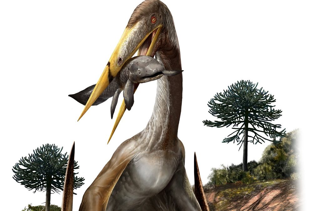 Ce ptérosaure soutenait son cou de girafe avec des os conçus comme des roues de bicyclette