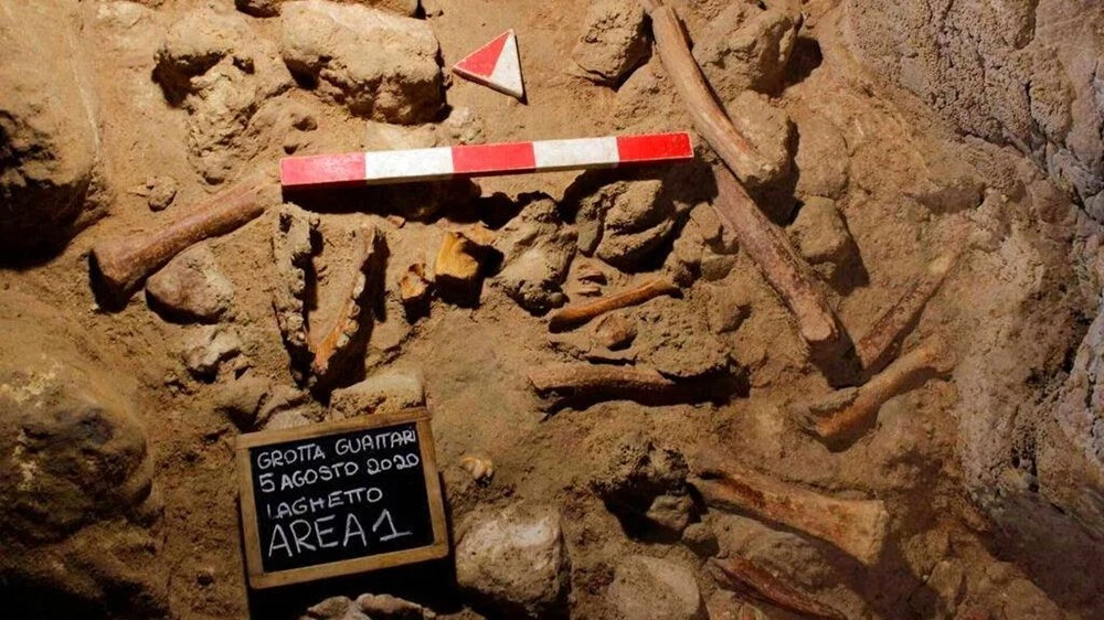 Une grotte en Italie dans laquelle 9 néanderthaliens auraient été dévorés par des hyènes