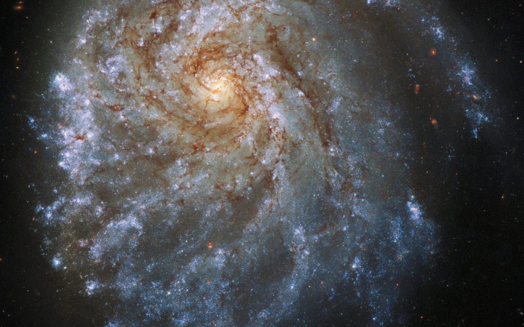 Curiosité cosmique : une galaxie spirale déformée par la gravité d’une voisine