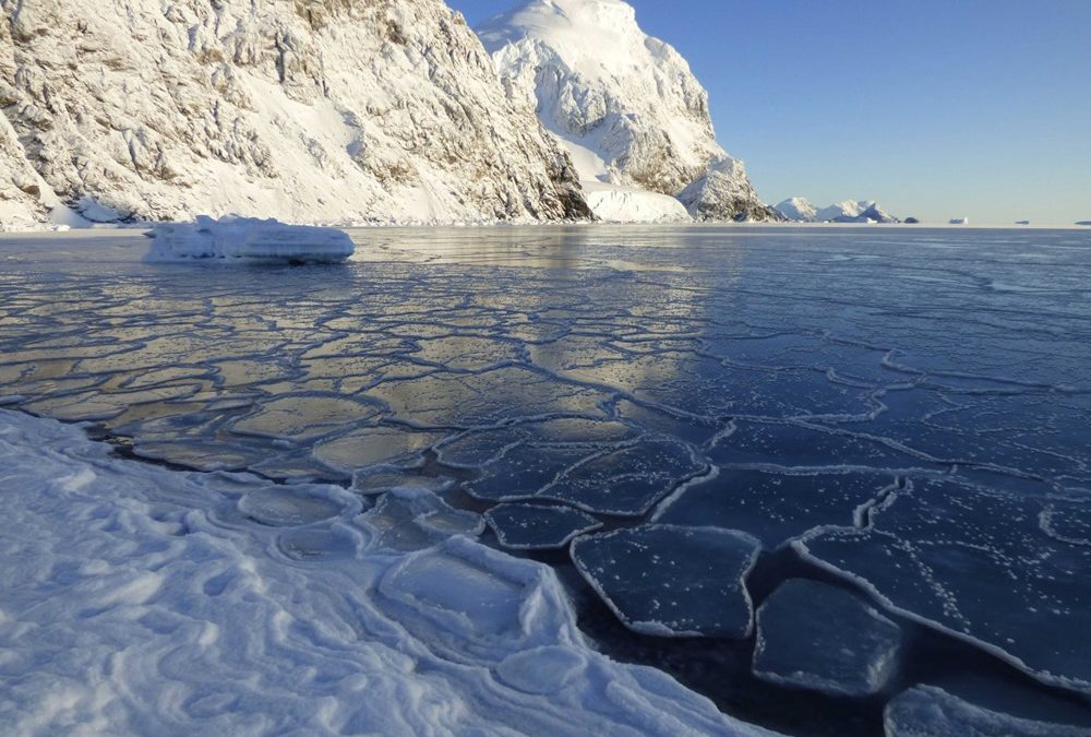 Les Nations unies ont confirmés un précédent record de température de 18,3°C en Antarctique