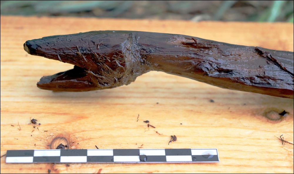 Ce qui serait un bâton de chaman vieux de 4 400 ans découvert en Finlande