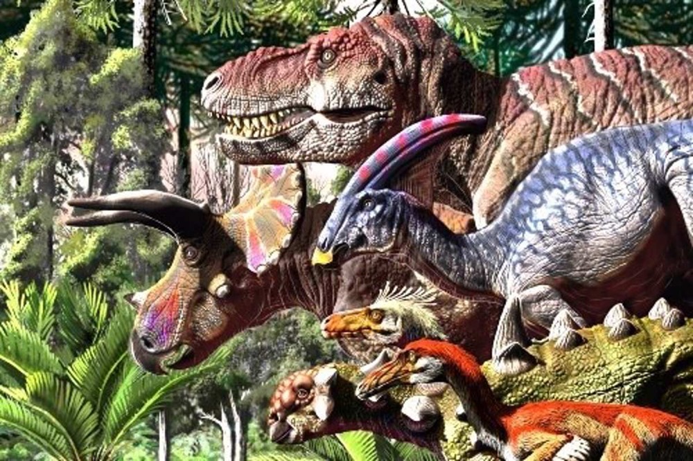 Les dinosaures étaient déjà en mauvaise posture bien avant qu’ils soient exterminés par un astéroïde