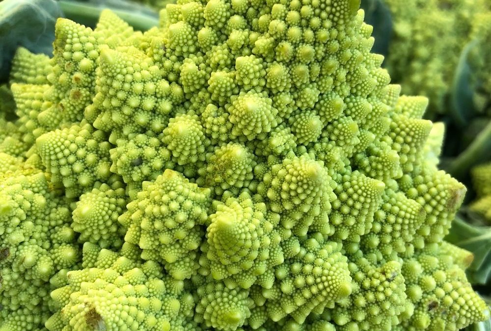Comment le chou-fleur produit-il ses envoûtantes fractales ?