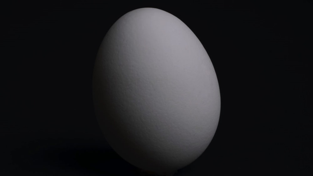 La forme parfaite des œufs et son équation universelle identifiées pour la première fois