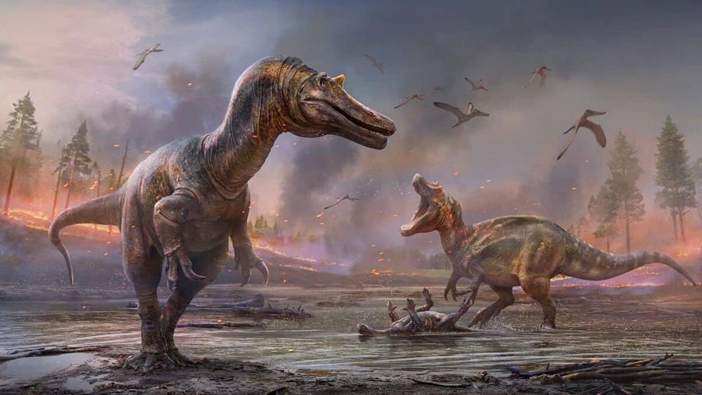 Découverte de deux nouveaux dinosaures prédateurs : des hérons de l’enfer à cornes et à tête de crocodile