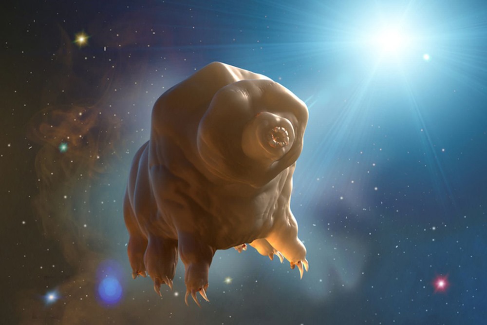 Des scientifiques proposent d’envoyer de minuscules créatures dans des voyages interstellaires