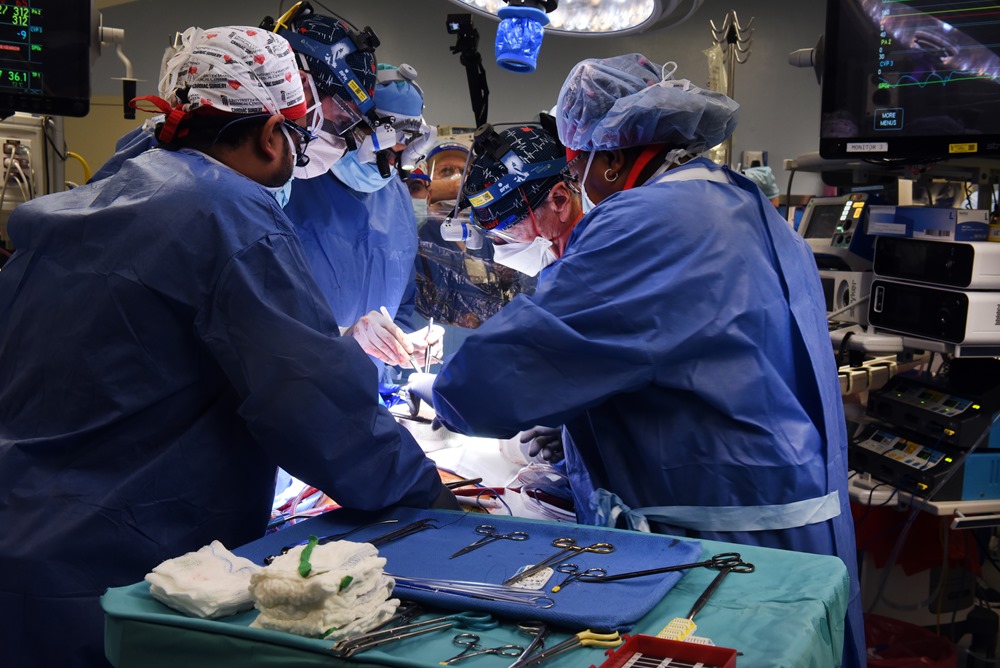 Transplantation : un homme profite désormais d’un cœur de cochon génétiquement modifié