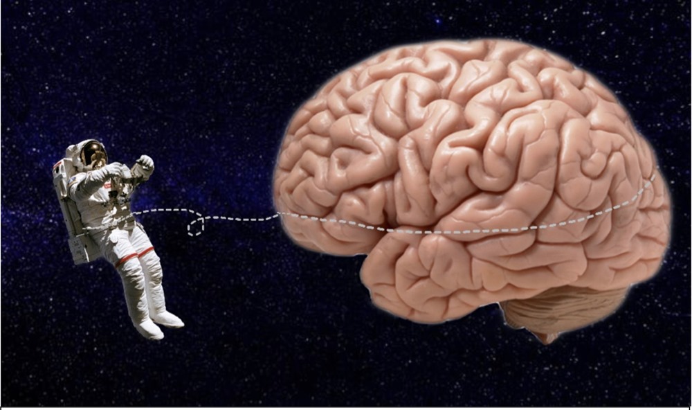 Les séjours prolongés en apesanteur pourraient endommager le cerveau des astronautes