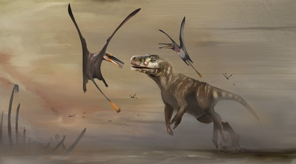Découverte du plus grand fossile de ptérosaure du Jurassique sur une plage écossaise