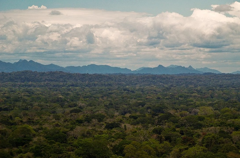 Une tribu indigène isolée d’Amazonie a le taux de démence le plus bas au monde