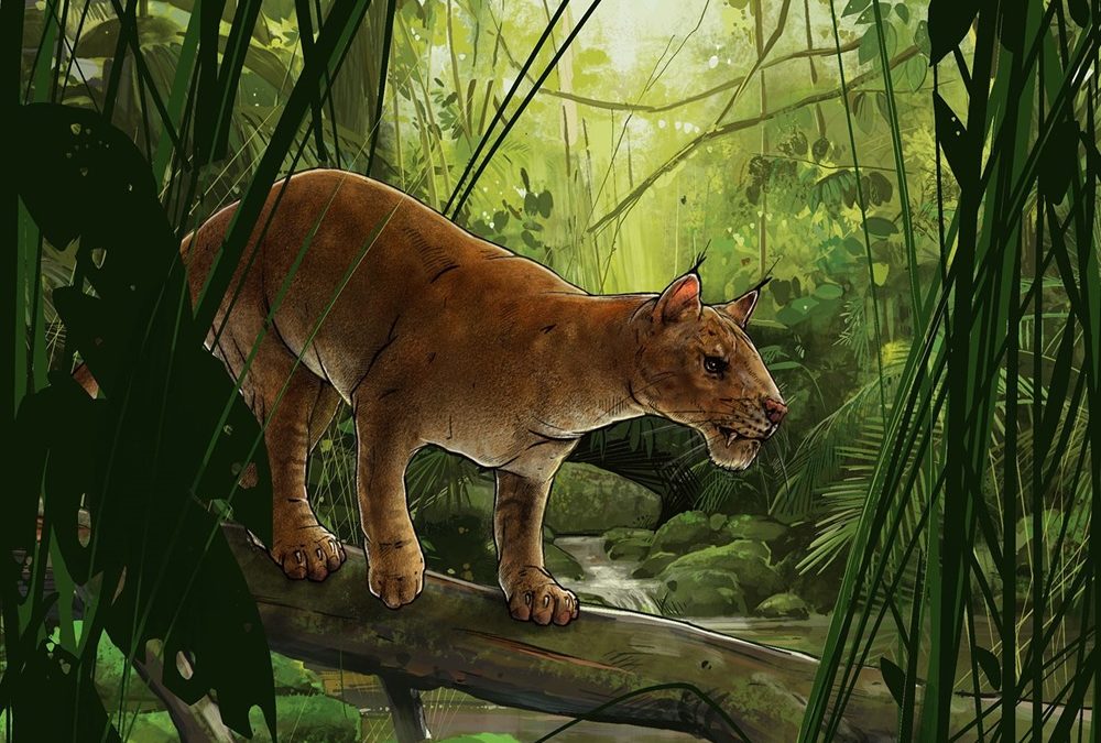 Ce prédateur à dents de sabre était probablement l’un des premiers vrais carnivores