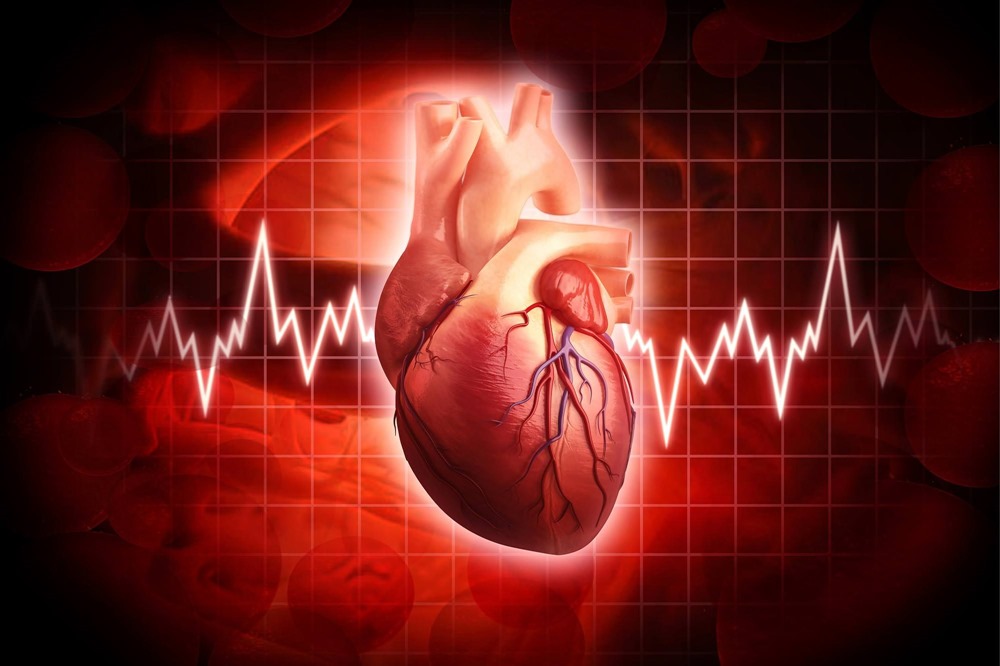 Une intelligence artificielle prédit si et quand vous risquez de subir une crise cardiaque