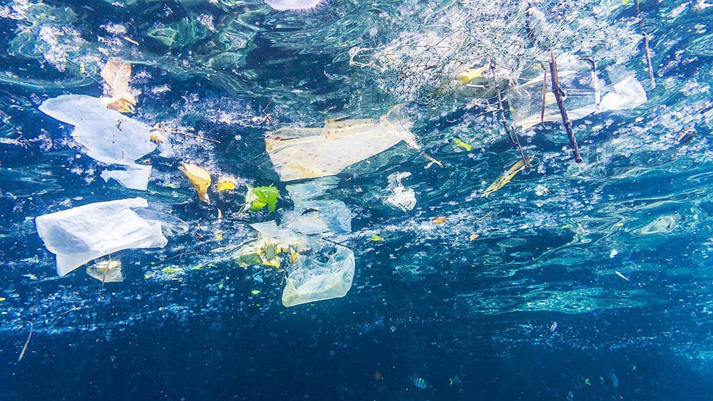 Les microplastiques répandent des germes pathogènes terrestres potentiellement mortels en haute mer