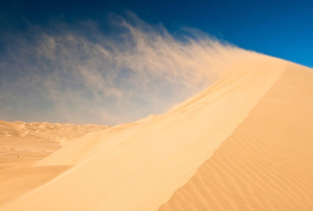 Des déserts apparemment sans vie respirent de l’air humide