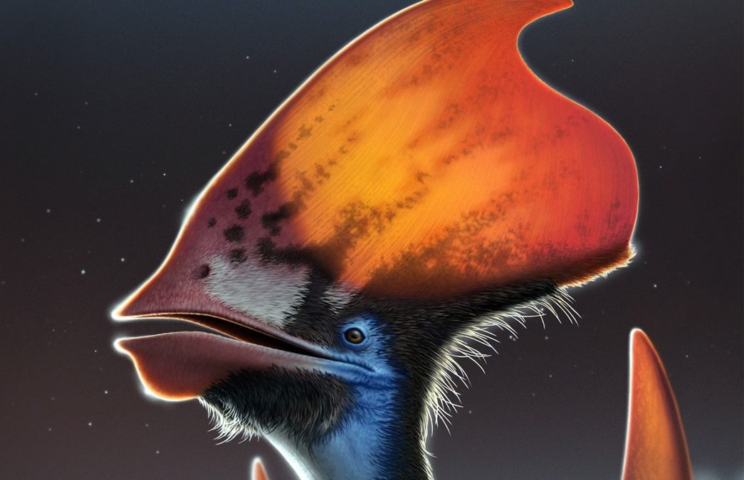 Confirmation que les ptérosaures avaient des plumes, mais qu’elles ne servaient pas pour voler