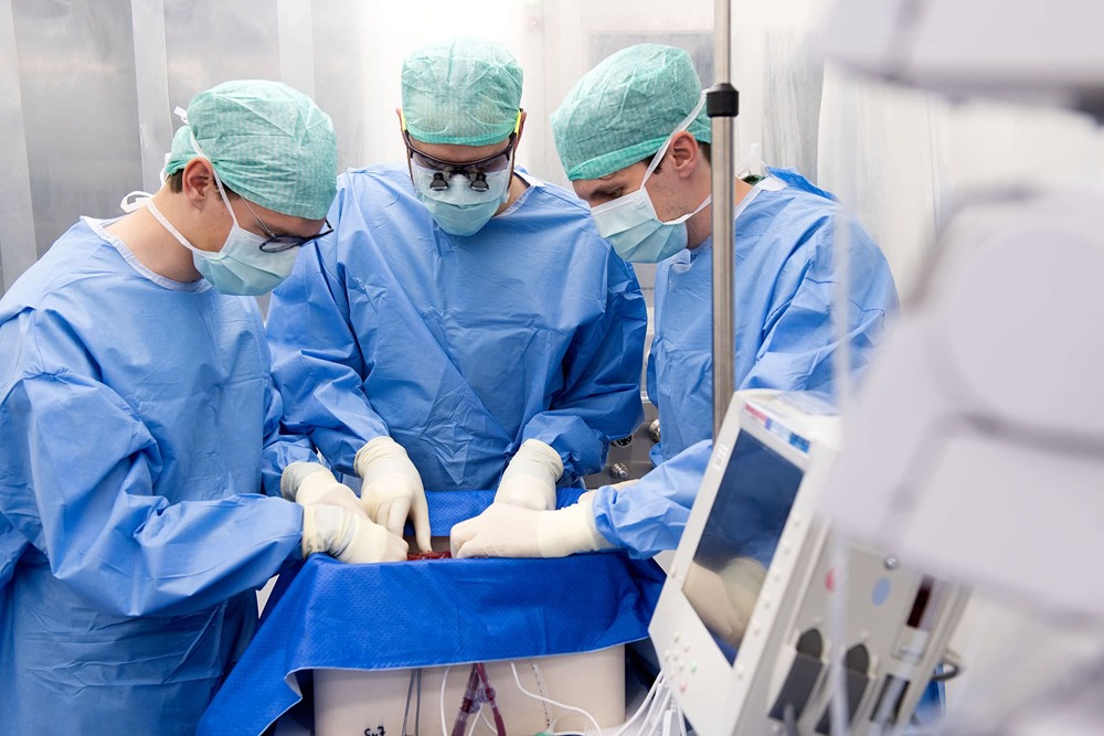 Des chirurgiens transplantent un foie humain conservé pendant 3 jours à l’extérieur d’un corps