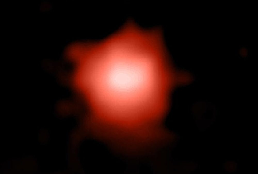 Le télescope spatial James Webb vient peut-être de découvrir la plus ancienne galaxie observée à ce jour