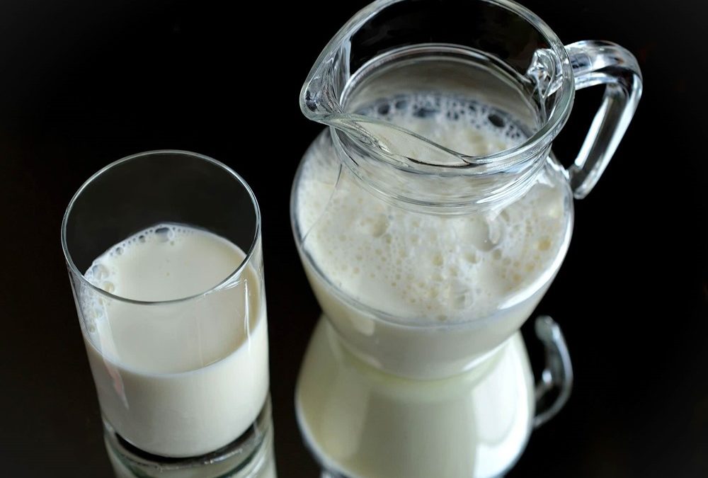 Pourquoi les Européens ont-ils évolué pour devenir tolérants au lactose ?
