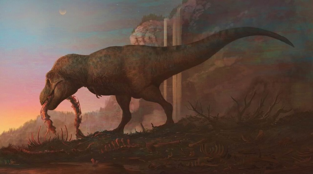 Une précédente étude divisant le Tyrannosaurus Rex en trois espèces différentes serait injustifiée