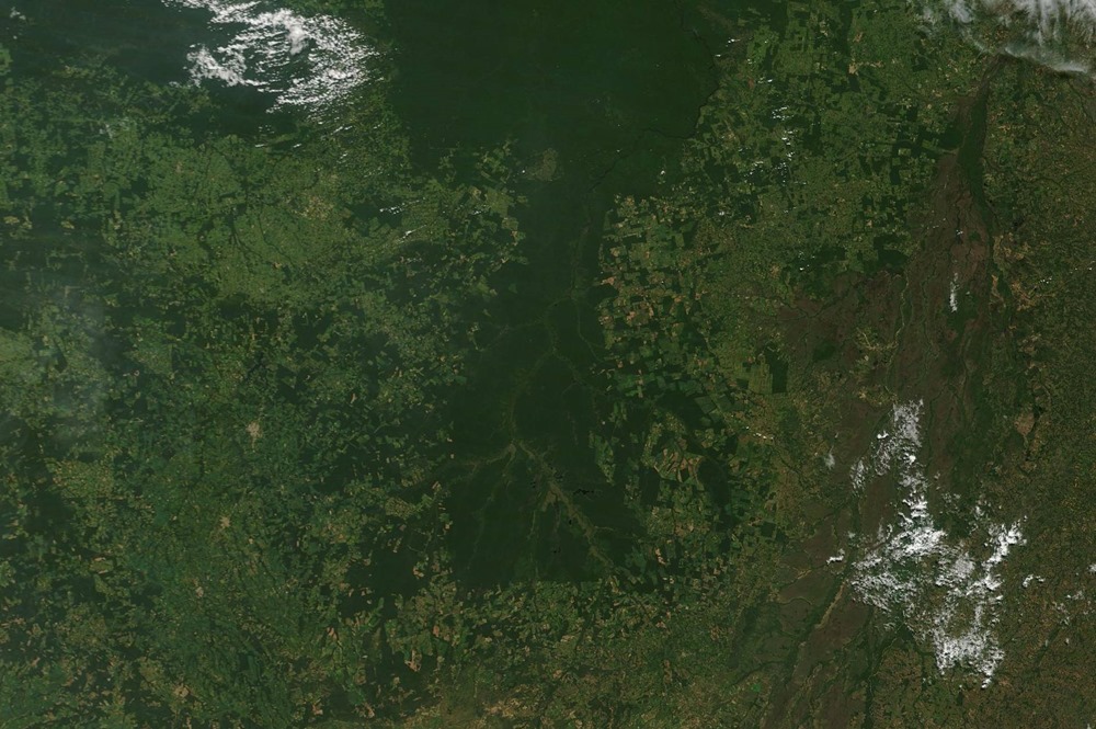 Un nouveau record de déforestation a été atteint dans la forêt amazonienne au cours du premier semestre