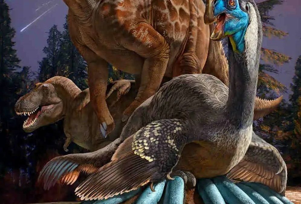 Des fossiles d’œufs de dinosaures suggèrent qu’ils étaient en voie de disparition avant que l’impact d’un astéroïde ne les fasse disparaître