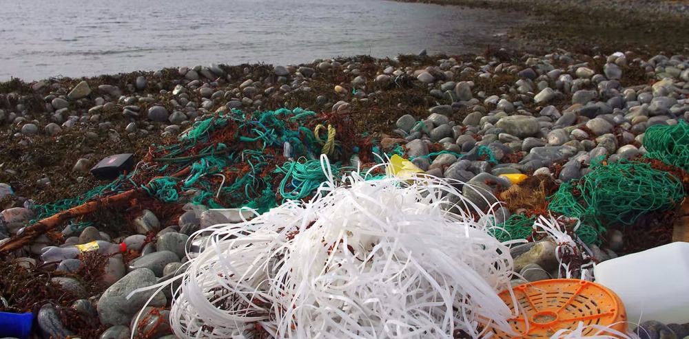 Une impressionnante quantité de matériels de pêche est perdue dans l’océan chaque année, tuant au passage la vie sauvage