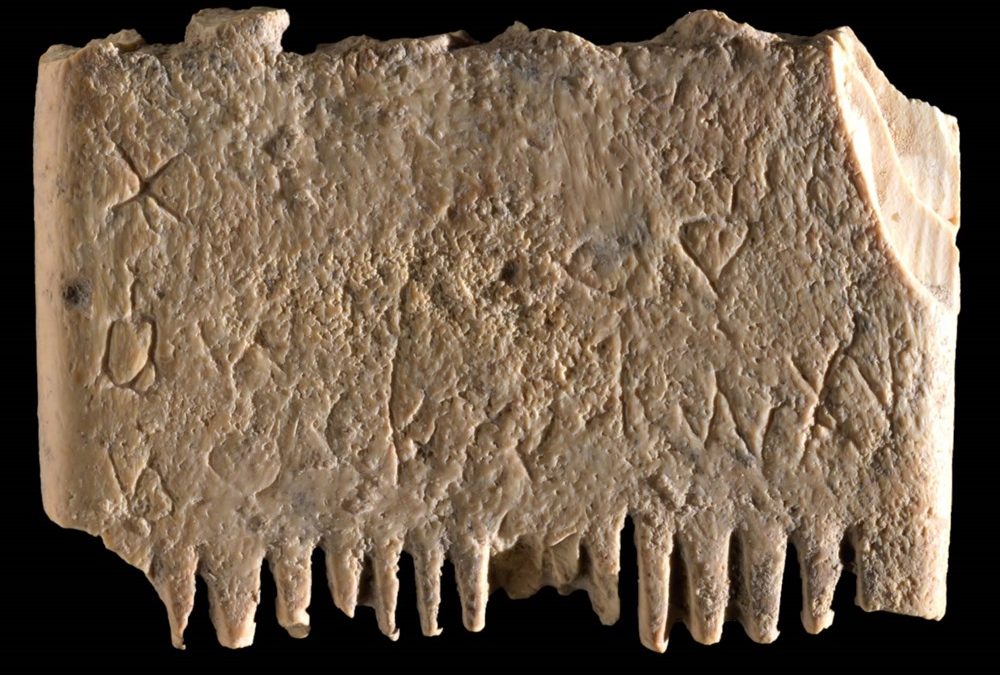 Découverte de la plus ancienne phrase connue écrite dans le premier alphabet sur un peigne à poux