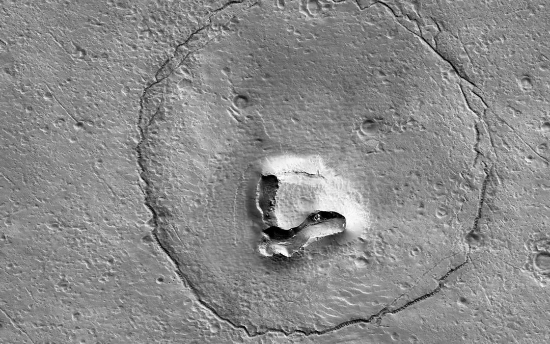 La face d’un ours sur Mars