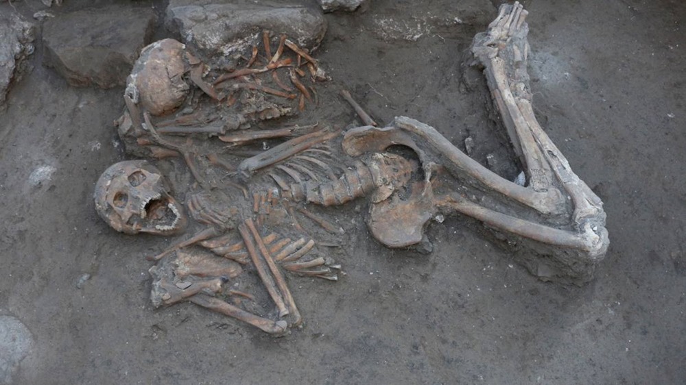 Trépanation de l’âge du bronze : preuves d’une opération du cerveau il y a 3 500 ans