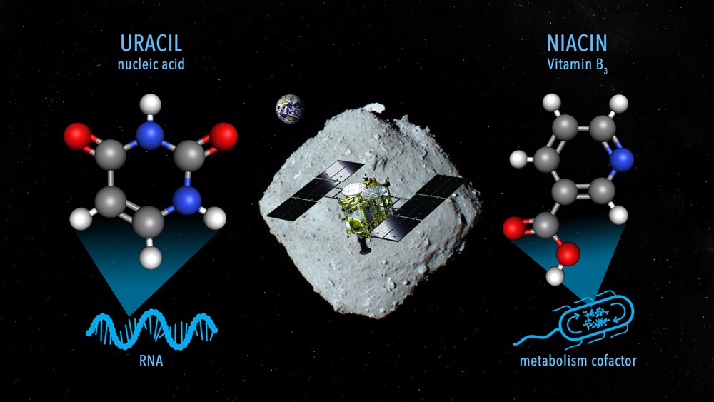 Des échantillons de l’astéroïde Ryugu contiennent l’un des éléments constitutifs de l’ARN