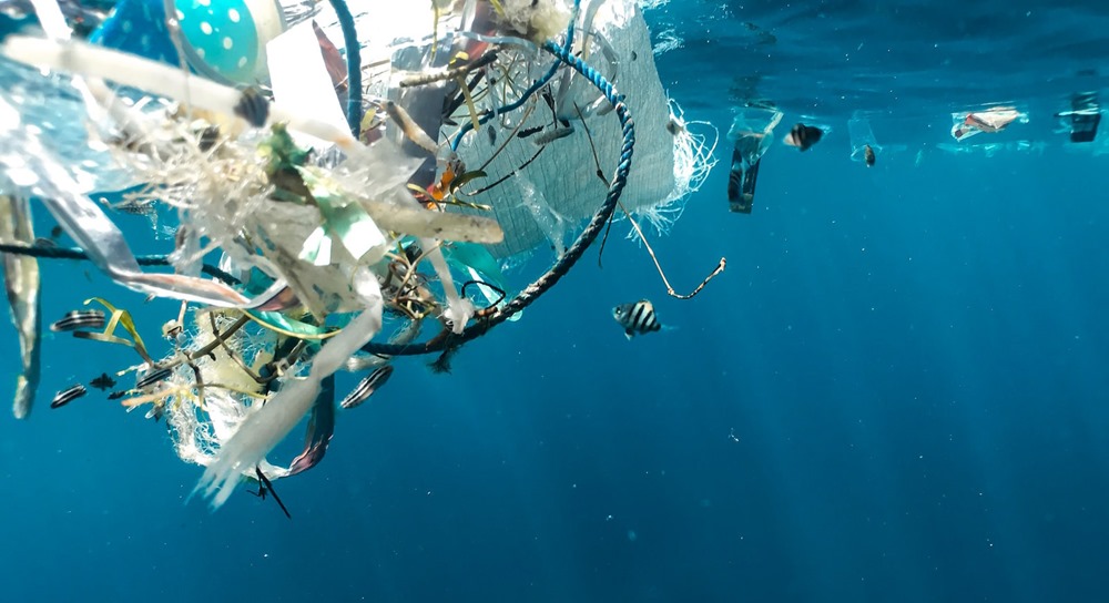 Le vortex de déchets plastique dans l’océan Pacifique entretient un écosystème florissant qui ne se trouve habituellement pas en pleine mer