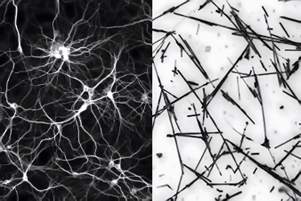 Des réseaux de nanofils d’argent semblent apprendre et mémoriser comme le cerveau humain