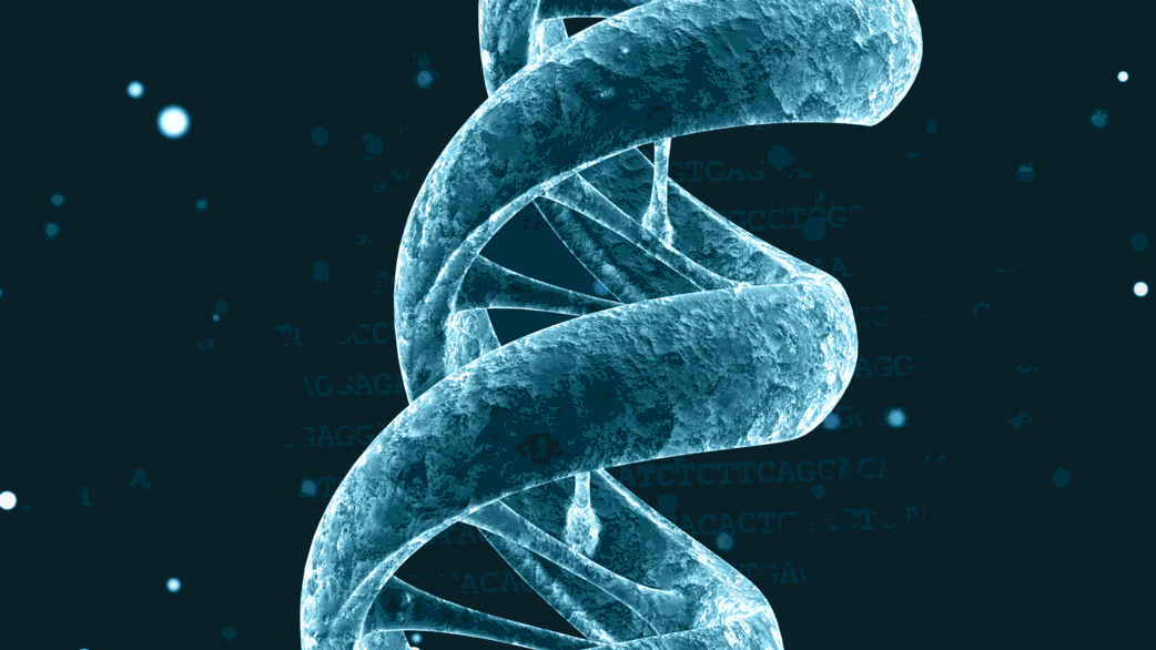 Projet pangénome humain : cette nouvelle carte du génome tente de capturer toutes les variations génétiques humaines