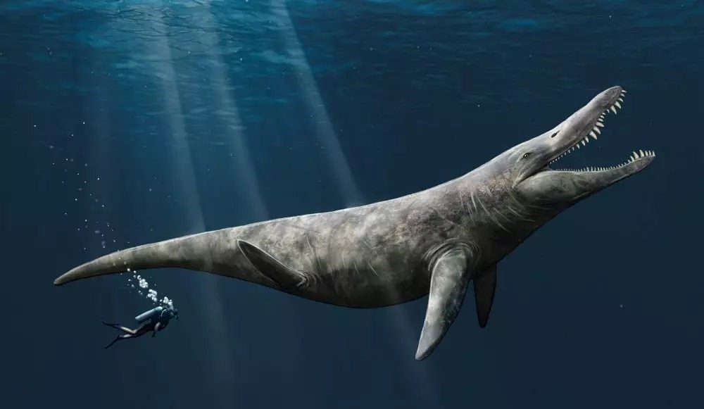La redécouverte d’un fossile révèle l’existence du roi des prédateurs marins dans les mers du Jurassique