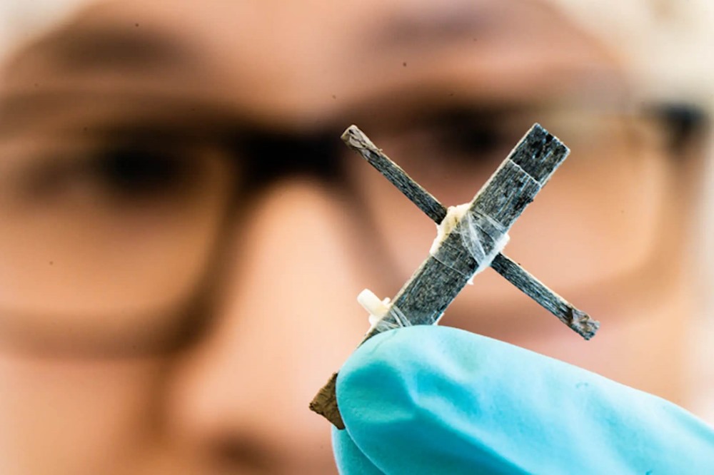 Technologie biodégradable : le premier transistor en bois fonctionnel