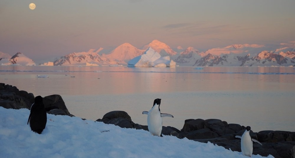 Sur les évènements climatiques extrêmes qu’endure l’Antarctique actuellement
