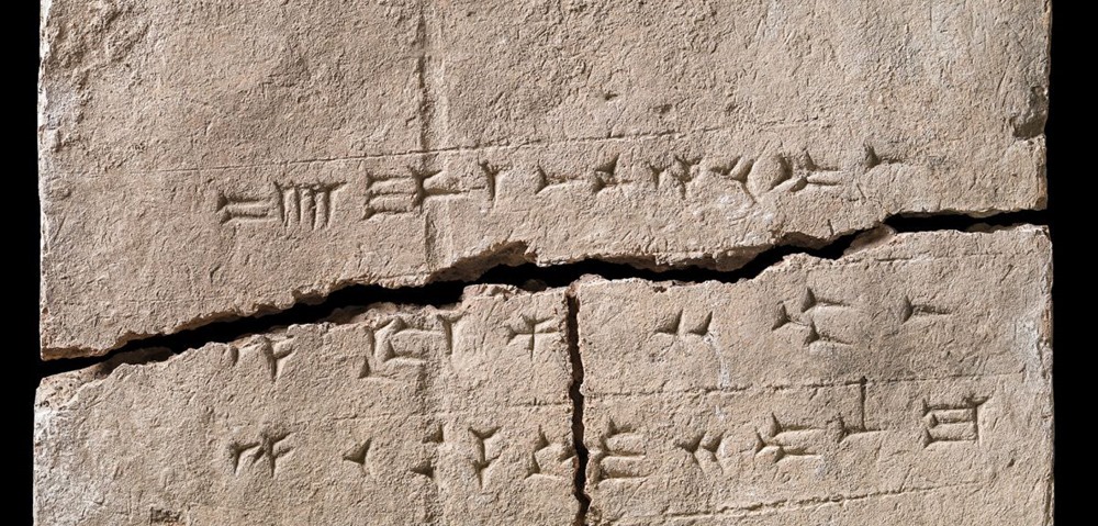 Cette brique d’argile a préservé la trace de plantes datant d’il y a plus de 2 900 ans