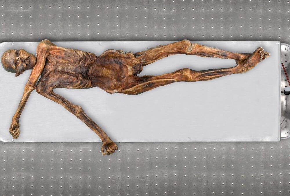 Une analyse génomique révèle une nouvelle apparence et de nouveaux ancêtres pour Ötzi, la momie des glaces du néolithique