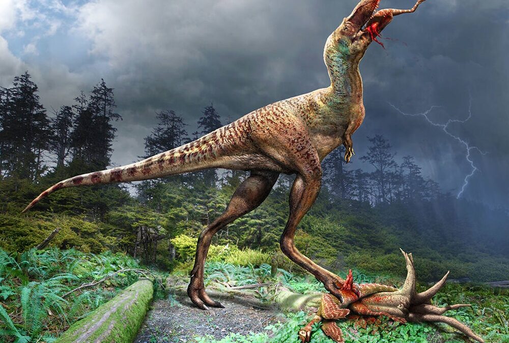 Étude de l’estomac rempli et fossilisé d’un jeune tyrannosaure